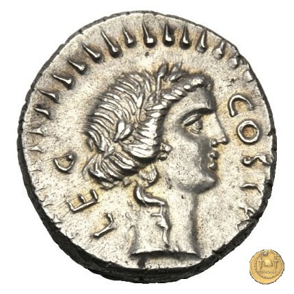 506/2 - denario M. Iunius Brutus / Pedanius Costa 43-42 a.C. (Itinerante con Brutus)