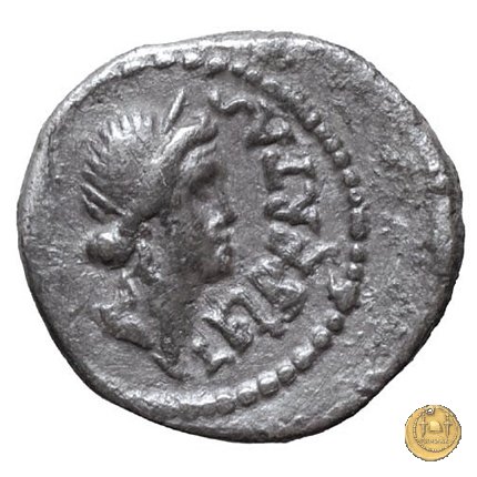 506/3 - quinario M. Iunius Brutus 43-42 BC (Itinerante con Brutus)