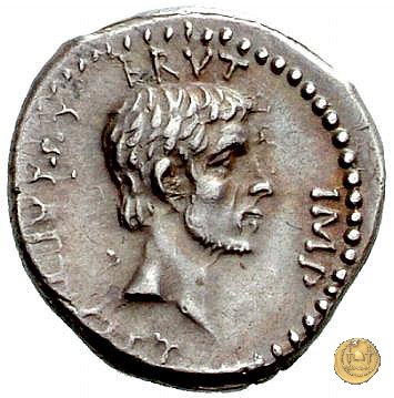 508/3 - denario M. Iunius Brutus / L. Plaetorius Cestianus 43-42 BC (Itinerante con Brutus)