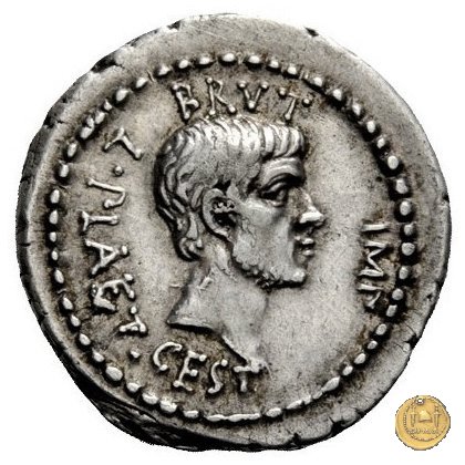 508/3 - denario M. Iunius Brutus / L. Plaetorius Cestianus 43-42 BC (Itinerante con Brutus)