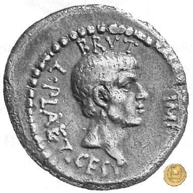 508/3 - denario M. Iunius Brutus / L. Plaetorius Cestianus 43-42 BC (Itinerante con Brutus)