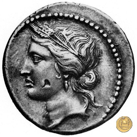 509/5 - denario Q. Cornuficius 42 BC (Africa)