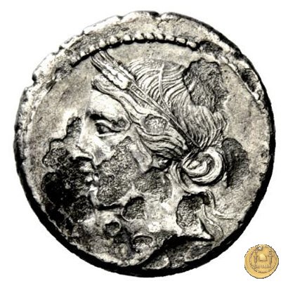 509/5 - denario Q. Cornuficius 42 BC (Africa)