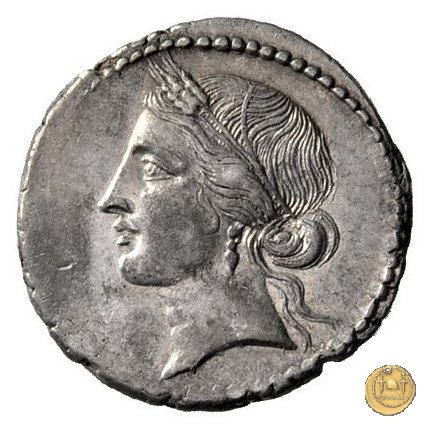 509/5 - denario Q. Cornuficius 42 BC (Africa)