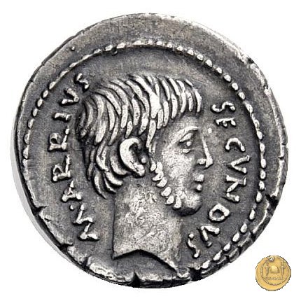 513/2 - denario M. Arrius Secundus 41 BC (Roma)