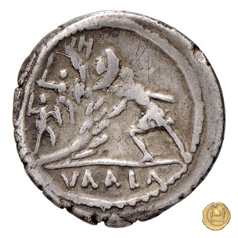 514/2 - denario C. Numonius Vaala 41 BC (Roma)