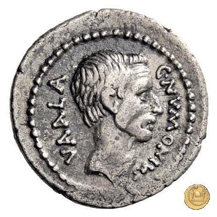 514/2 - denario C. Numonius Vaala 41 BC (Roma)