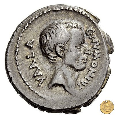 514/2 - denario C. Numonius Vaala 41 BC (Roma)