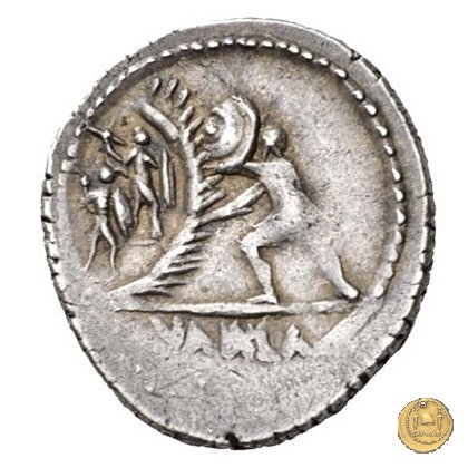 514/2 - denario C. Numonius Vaala 41 BC (Roma)