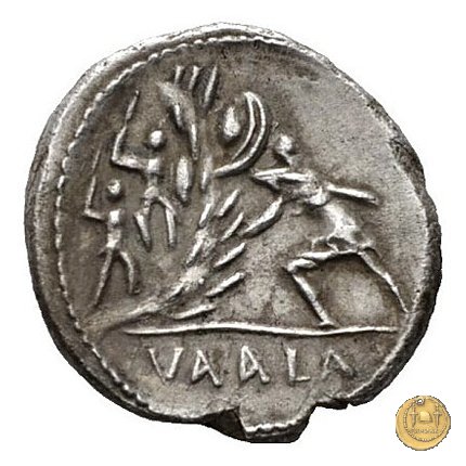 514/2 - denario C. Numonius Vaala 41 BC (Roma)