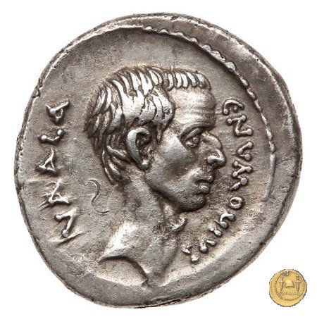 514/2 - denario C. Numonius Vaala 41 BC (Roma)