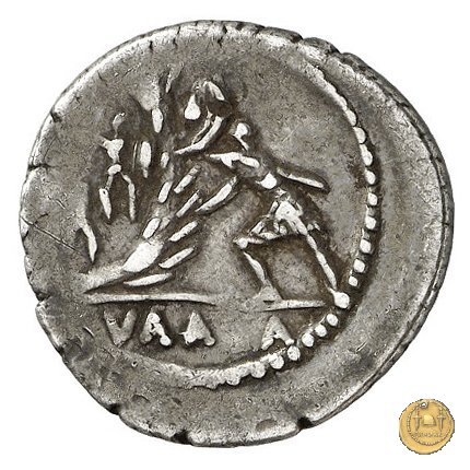 514/2 - denario C. Numonius Vaala 41 BC (Roma)