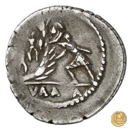 514/2 - denario C. Numonius Vaala 41 BC (Roma)