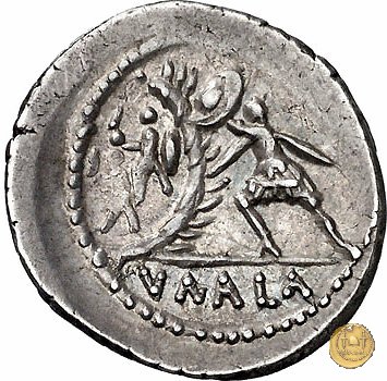 514/2 - denario C. Numonius Vaala 41 BC (Roma)