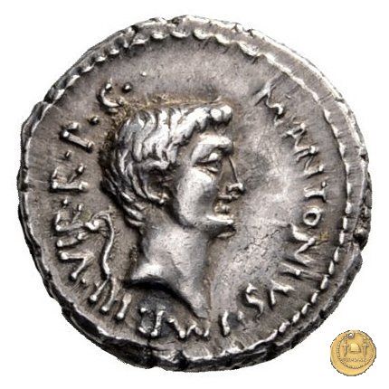 516/5 - denario M. Antonius 41 BC (Itinerante con M. Antonius)