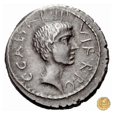 518/2 - denario C. Iulius Caesar Octavianus 41 BC (Itinerante con Octavianus)