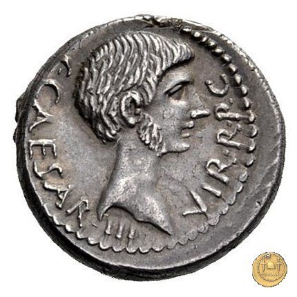 523/1 - denario C. Iulius Caesar Octavianus / Q. Salvidienus Salvius 40 BC (Itinerante con Octavianus)