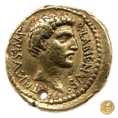 524/1 - aureo Q. Labienus Parthicus 40 BC (Itinerante con Labienus)