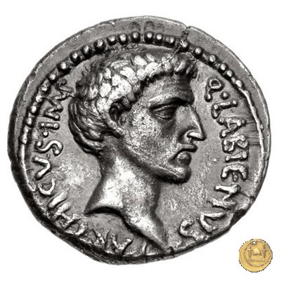 524/2 - denario Q. Labienus Parthicus 40 BC (Itinerante con Labienus)