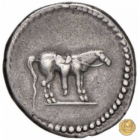 524/2 - denario Q. Labienus Parthicus 40 a.C. (Itinerante con Labienus)