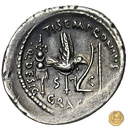 525/3 - denario Ti. Sempronius Gracchus 40 BC (Roma)