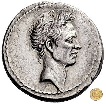 525/3 - denario Ti. Sempronius Gracchus 40 BC (Roma)