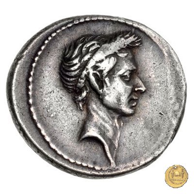 525/3 - denario Ti. Sempronius Gracchus 40 BC (Roma)