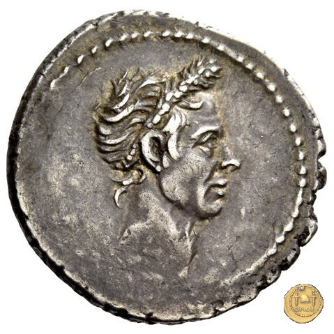 525/3 - denario Ti. Sempronius Gracchus 40 BC (Roma)