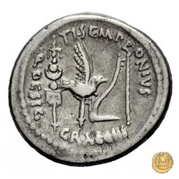 525/4 - denario Ti. Sempronius Gracchus 40 BC (Roma)