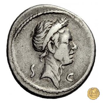 525/4 - denario Ti. Sempronius Gracchus 40 BC (Roma)