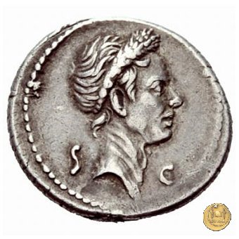 525/4 - denario Ti. Sempronius Gracchus 40 BC (Roma)