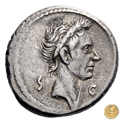 525/4 - denario Ti. Sempronius Gracchus 40 BC (Roma)