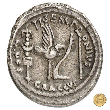 525/4 - denario Ti. Sempronius Gracchus 40 BC (Roma)