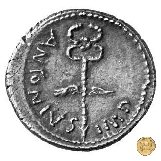 529/2 - denario C. Iulius Caesar Octavianus / M. Antonius 39 BC (Itinerante con Octavianus)