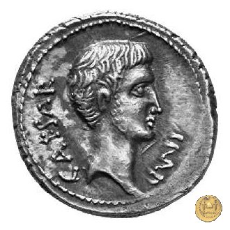 529/2 - denario C. Iulius Caesar Octavianus / M. Antonius 39 BC (Itinerante con Octavianus)