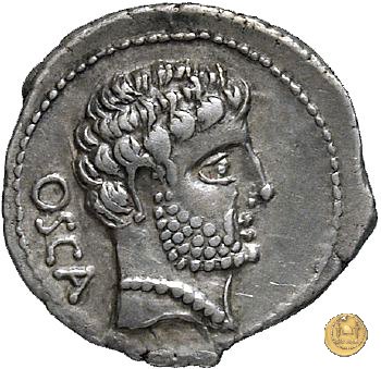 532/1 - denario Cn. Domitius M.f.M.n. Calvinus 39 BC (Osca)