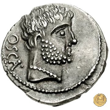 532/1 - denario Cn. Domitius M.f.M.n. Calvinus 39 BC (Osca)