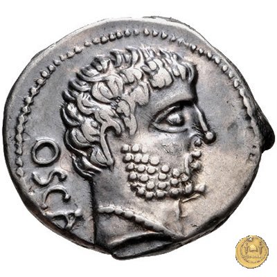 532/1 - denario Cn. Domitius M.f.M.n. Calvinus 39 BC (Osca)