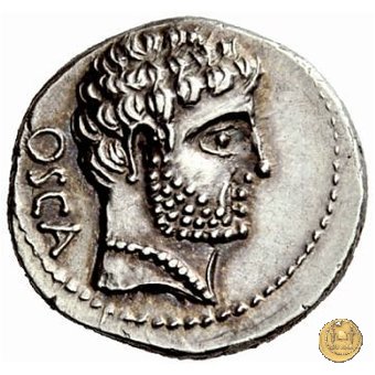 532/1 - denario Cn. Domitius M.f.M.n. Calvinus 39 BC (Osca)