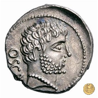 532/1 - denario Cn. Domitius M.f.M.n. Calvinus 39 BC (Osca)