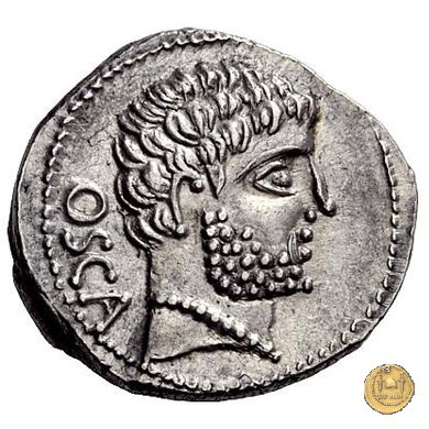 532/1 - denario Cn. Domitius M.f.M.n. Calvinus 39 BC (Osca)