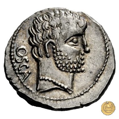 532/1 - denario Cn. Domitius M.f.M.n. Calvinus 39 BC (Osca)