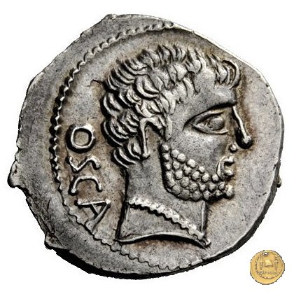 532/1 - denario Cn. Domitius M.f.M.n. Calvinus 39 BC (Osca)