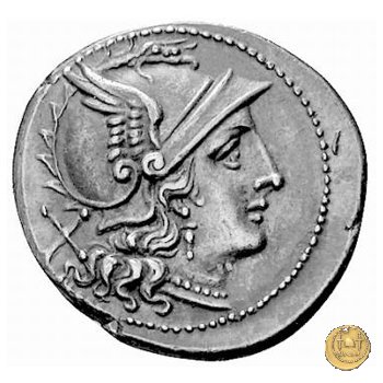 53/2 211 BC (Roma)