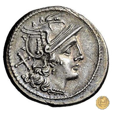 53/2 211 BC (Roma)