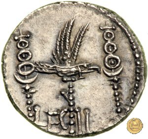 544/14 - denario LEG. II (legionis secundae) 32-31 BC (Itinerante con M. Antonius)