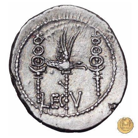 544/18 - denario LEG. V (legionis quintae) 32-31 BC (Itinerante con M. Antonius)