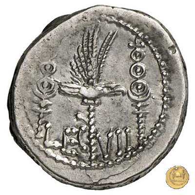 544/20 - denario LEG. VII (legionis septimae) 32-31 BC (Itinerante con M. Antonius)