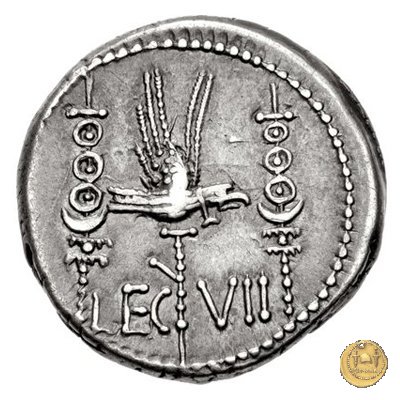 544/20 - denario LEG. VII (legionis septimae) 32-31 BC (Itinerante con M. Antonius)