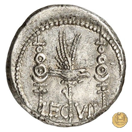 544/20 - denario LEG. VII (legionis septimae) 32-31 BC (Itinerante con M. Antonius)